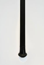 Load image into Gallery viewer, Catfish-Pro Persuader Rod 5lb 11ft 6in Mk3
